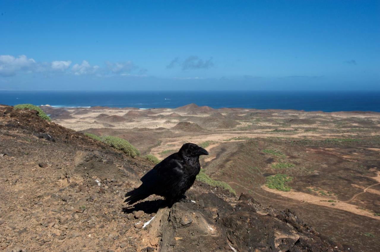 דירות Cotillo Molino De El Roque מראה חיצוני תמונה
